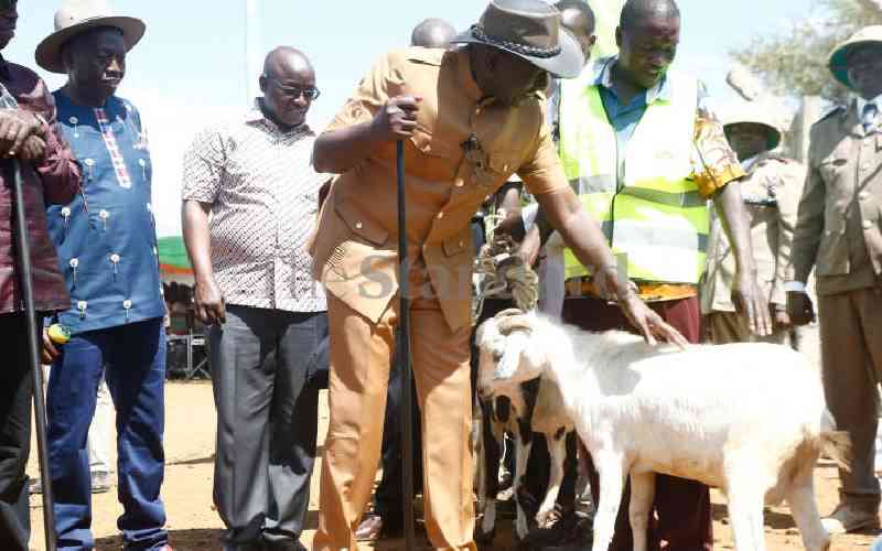 Livestock vaccination to open global market: Ruto