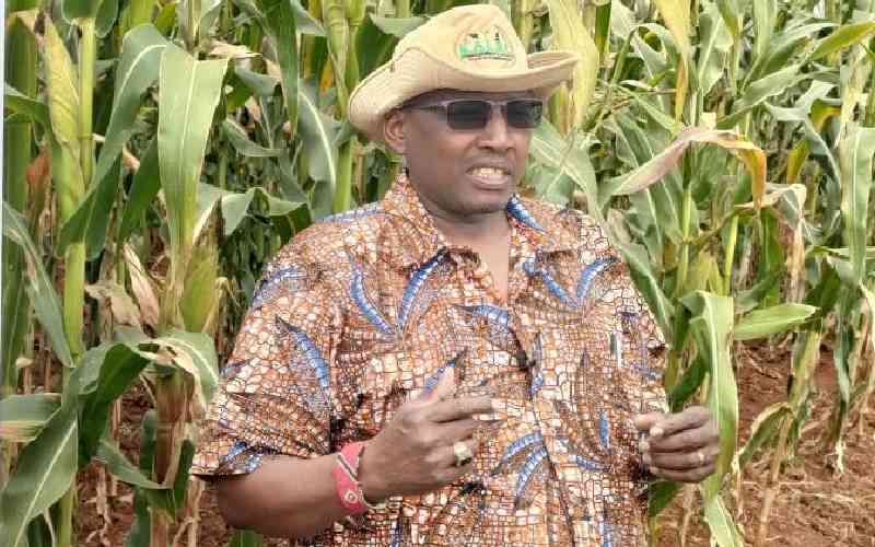 Agriculture experts seek to boost crop production systems