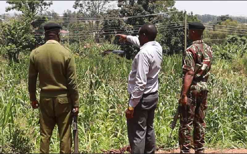 Kakamega private developer loses Sh40 million land to State
