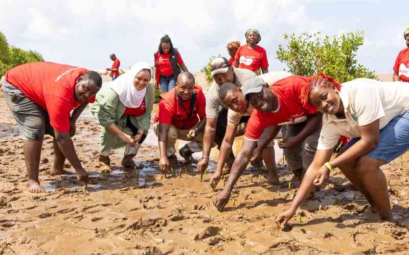 Absa Kenya expands mangrove restoration to 350,000 trees along Coastline