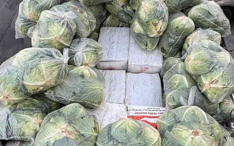 Thai police seize 1.6 tonnes of drugs hidden under cabbages