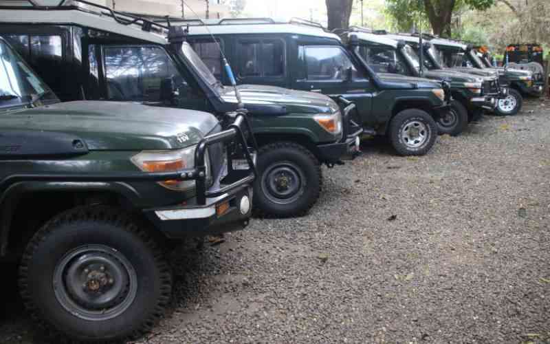 Licenses of four tour operators revoked in crackdown on rogue firms
