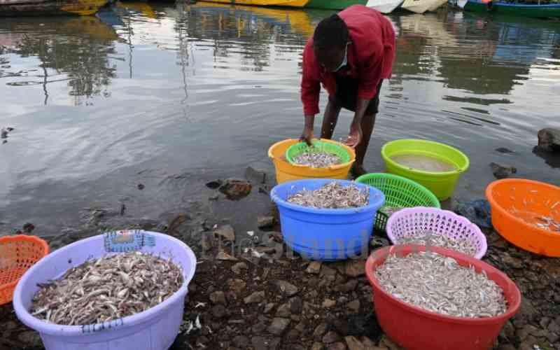 Innovation finds solution for fish waste problem