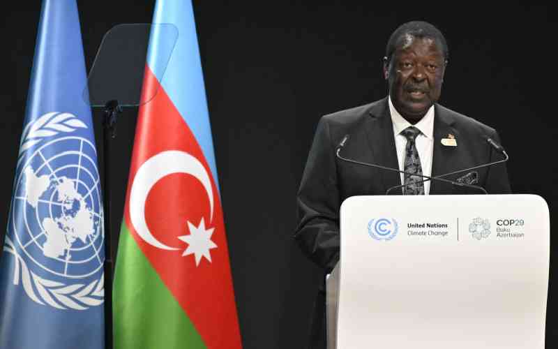 COP29: Kenya secures over Sh9b, wins praise for renewable energy plans