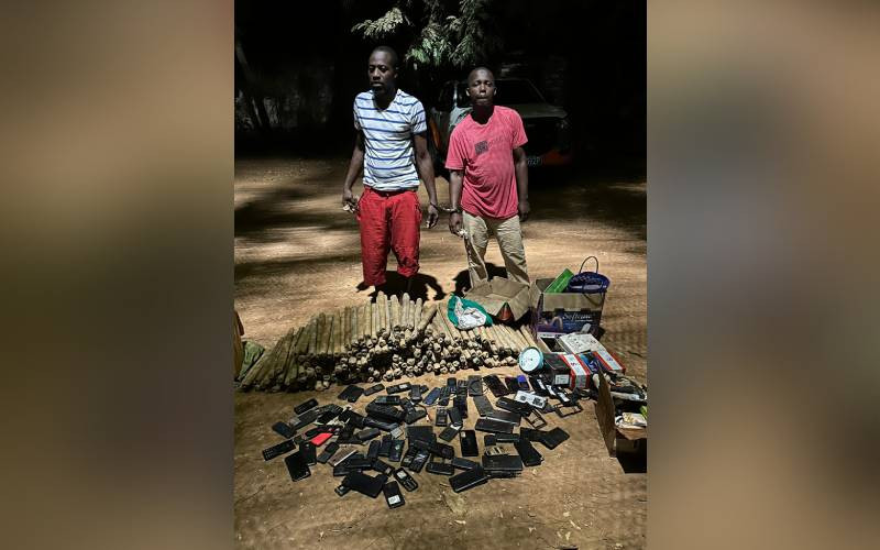 Police recover Sh2 million suspected cocaine, bhang