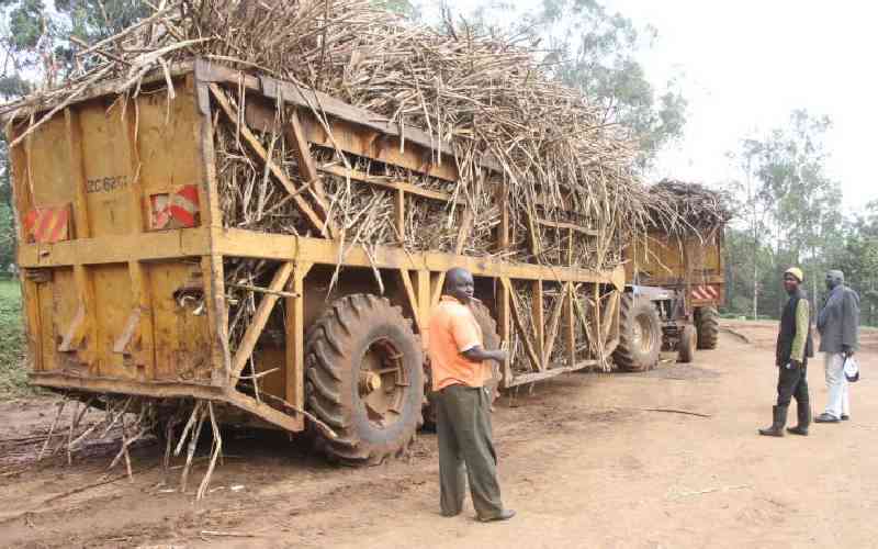 Ruto tells off MPs opposing plans to lease five sugar millers