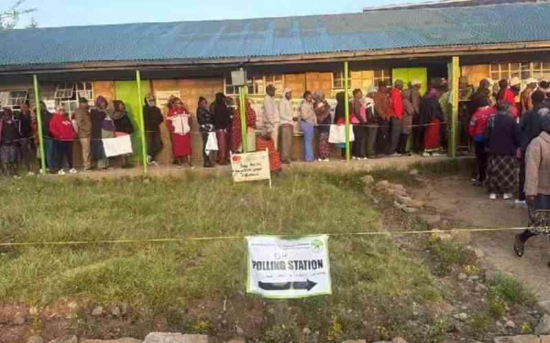 MPs pull plug on livestreaming of election results