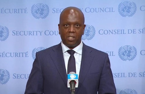 Kenya's Ambassador to the UN to lead global Executive board