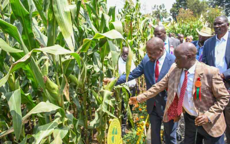 Win for farmers as fertiliser subsidy gets Sh18b in budget