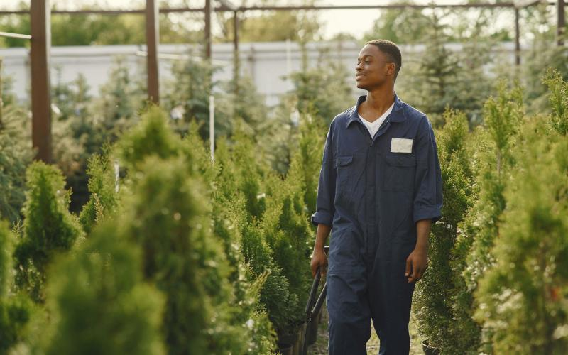 Thieves, saints and scholars: Ten hilarious types of shamba boys