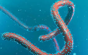 Ethiopia confirms outbreak of deadly Marburg virus: Africa CDC