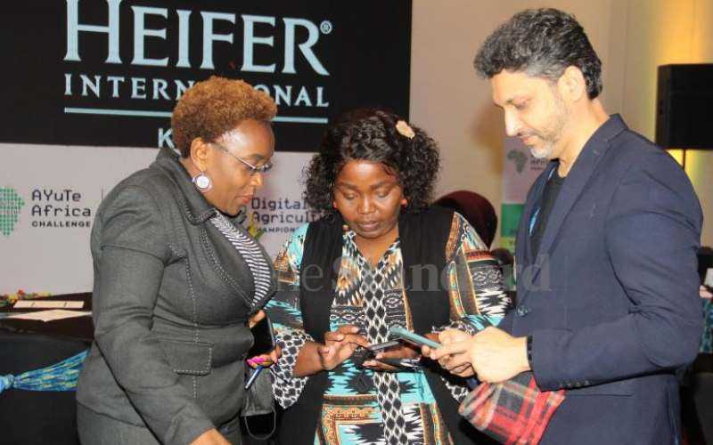 Heifer International's agri-startups challenge applications deadline nears