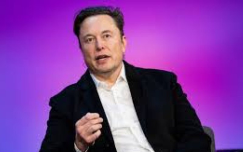 Elon Musk among investors seeking to buy Chat GPT paren't company