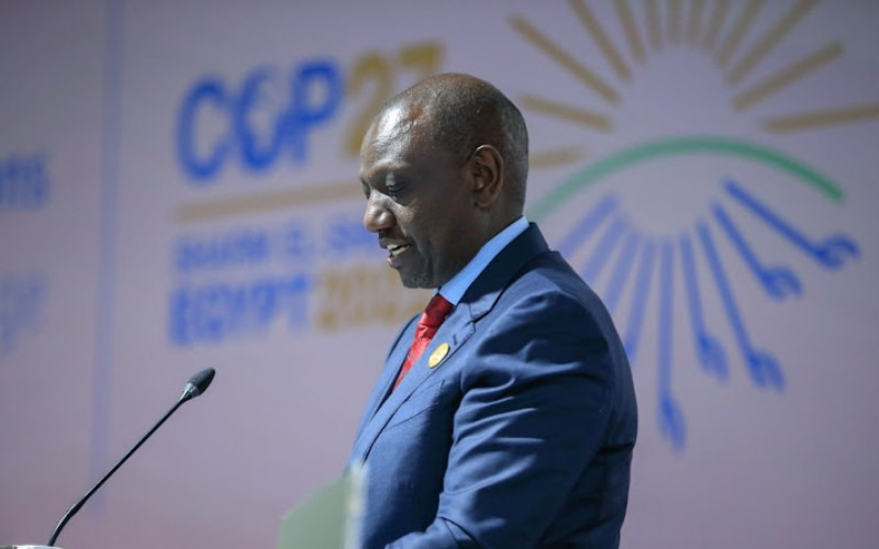 UN: Kenya among countries that had highest number of delegates at COP27