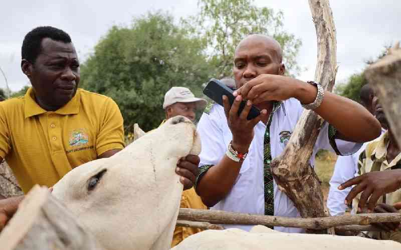 Hunger looms in Kitui as drought tightens grip on ASAL counties