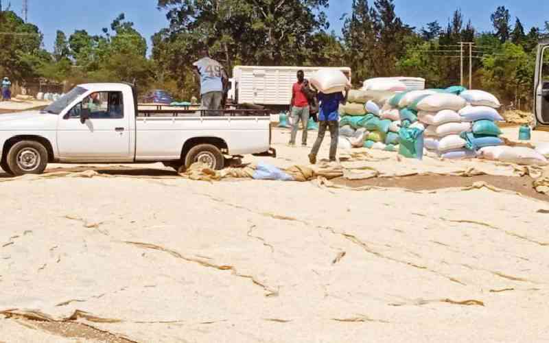 Maize production declined by 15 percent in Nakuru County