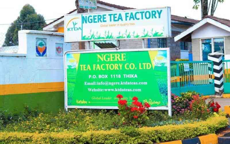 Pakistan continues to import more tea from Kenya, says TBK