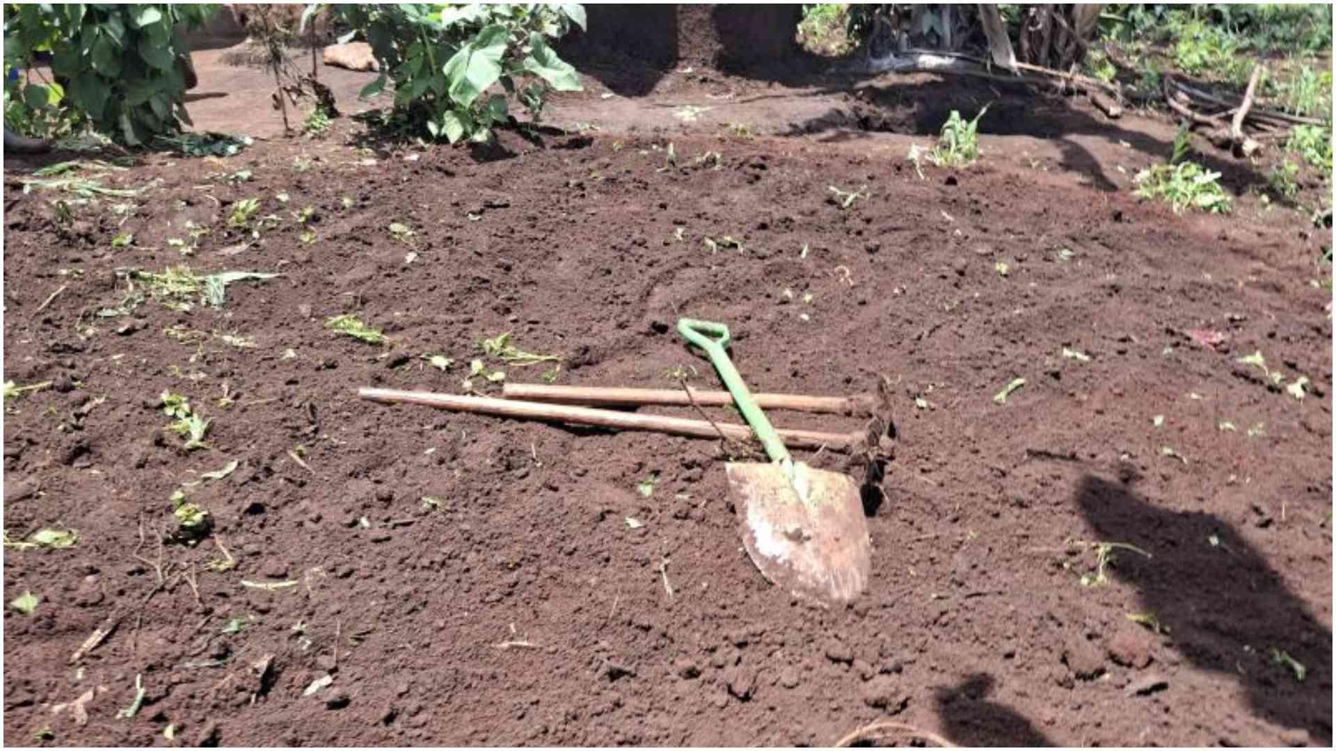 Trans Nzoia man exhumes wife's body from grave, claims she's haunting him