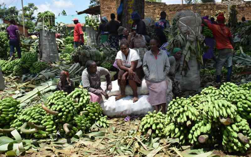 AgTech industry players push for increased financing for women in agribusiness