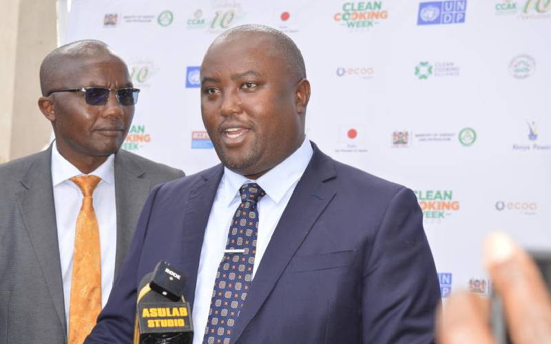 Boost as Kenya to receive Sh11b for transition to clean energy
