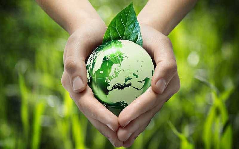 Why Kenyan banks lack expertise to asses green financing risks