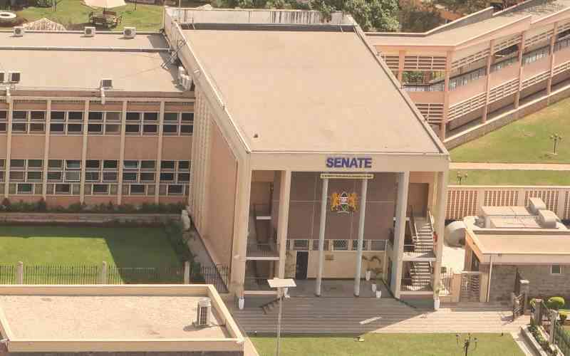 Summon Ruto to table evidence on graft, senators tell two Speakers