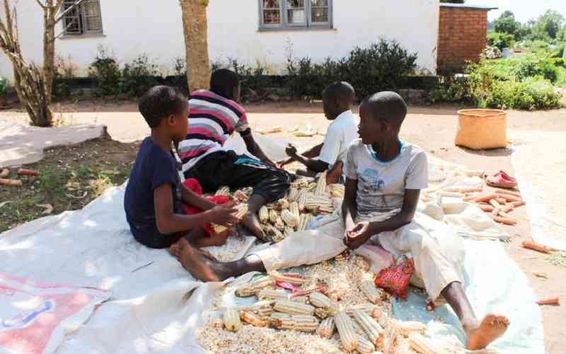 4.2 million Malawians face hunger, report shows