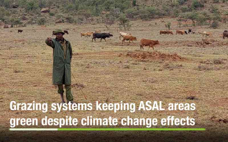 Climate Change: Grazing systems cut ASAL Kenya drought risk