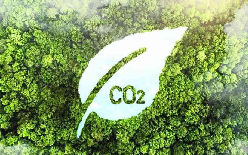 Why Kenya must raise its sustainability reporting to global standards