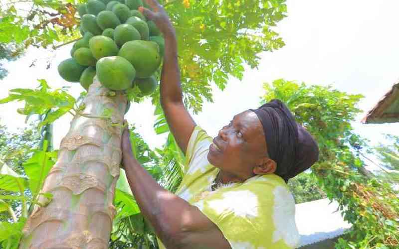 Research synergy key for climate-nutrition action