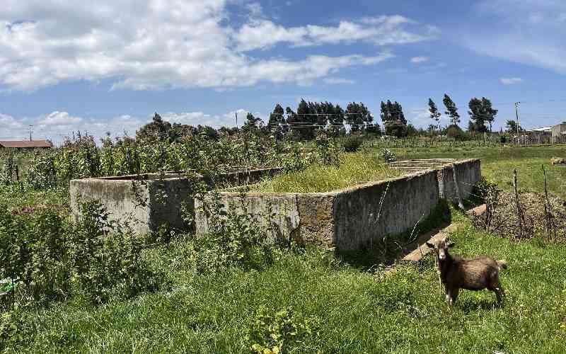 How a small town almost became Kenya's Singapore