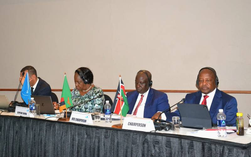 Kenya urges uniform Comesa ban on hazardous pesticides