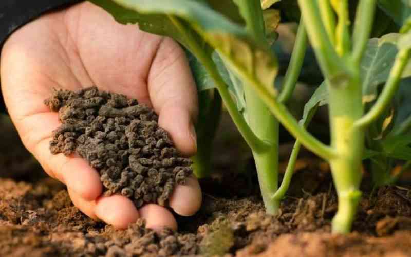 Industry players form association to streamline fertiliser sector