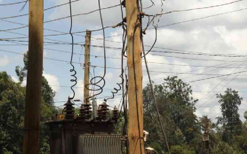 Global partnerships will step up Kenya's growing power grid