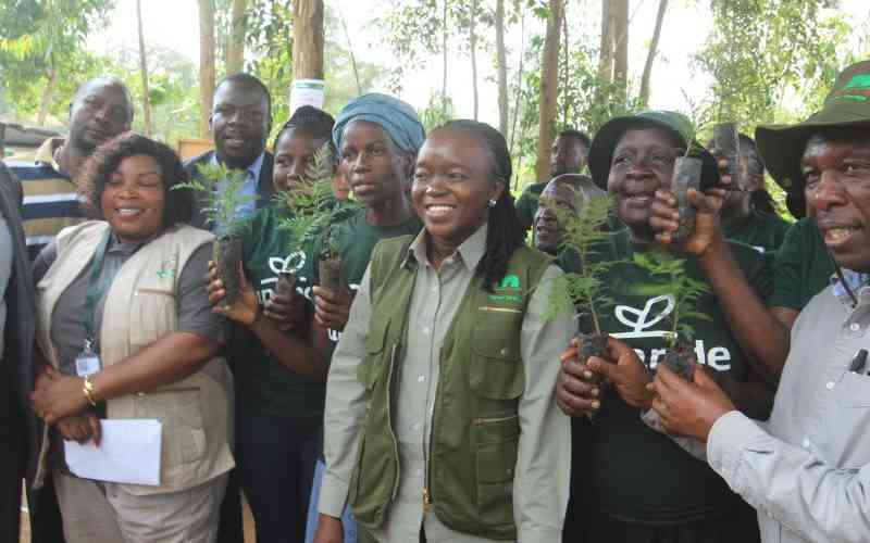 Green Belt Movement push halts planned forest takeover in Ngong