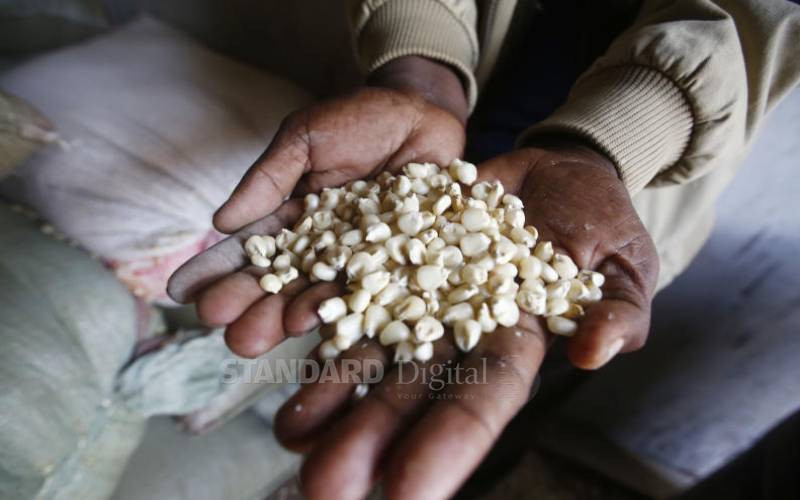Farmers protest cheap maize imports from Uganda