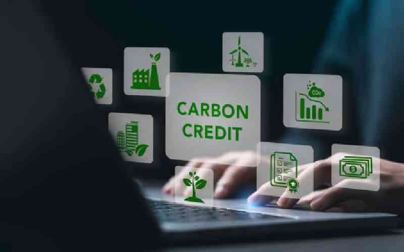 Changes in carbon market rules threaten Kenya's Sh80b revenue