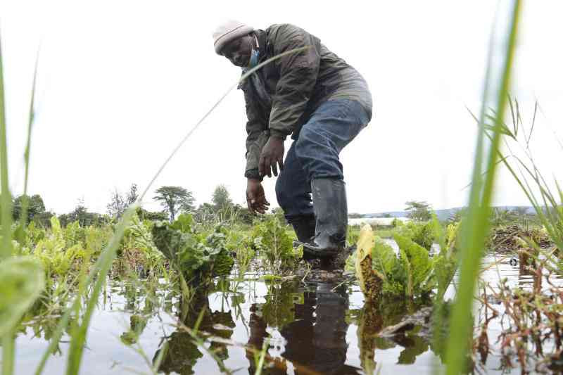 What Kenya must do to shield food systems from El Nino disruption