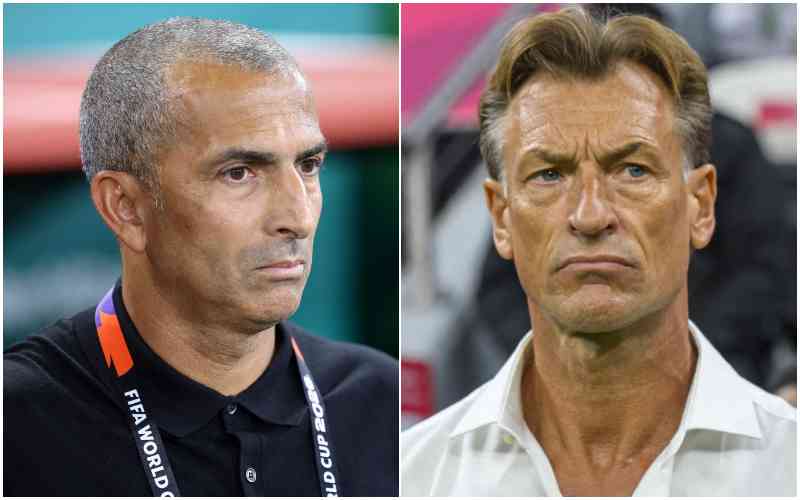 Tunisia sack coach Lamouchi, appoint Herve Renard after one World Cup game