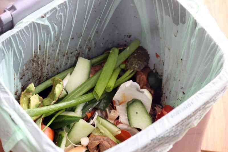 How to turn kitchen waste into rich manure