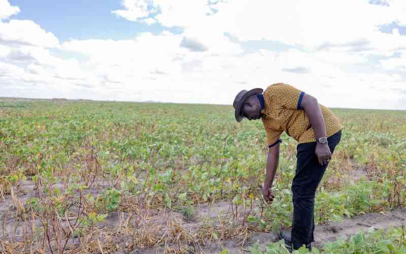 Experts back tech to boost food security