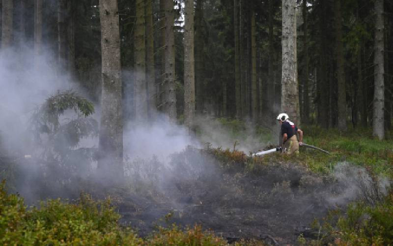 Firefighters in 'decisive' push to encircle Belgian wildfire