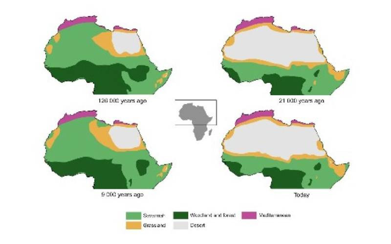Sahara Desert used to be green  study explains why