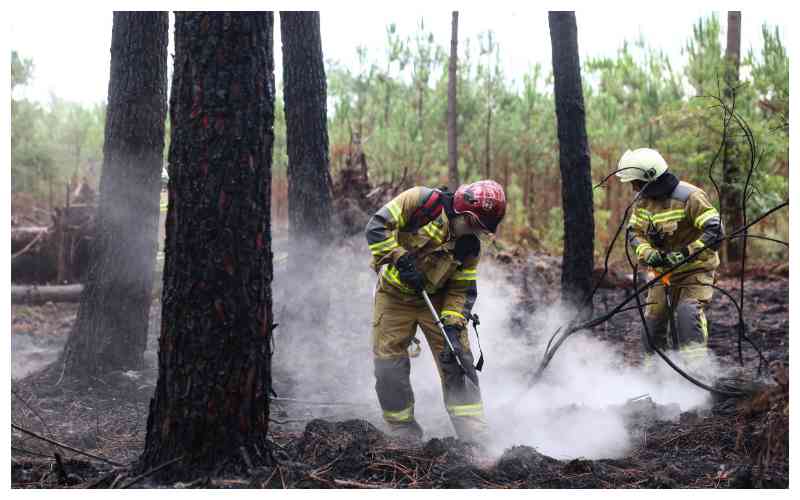 French winemakers dread 'smoky taste' after wildfires