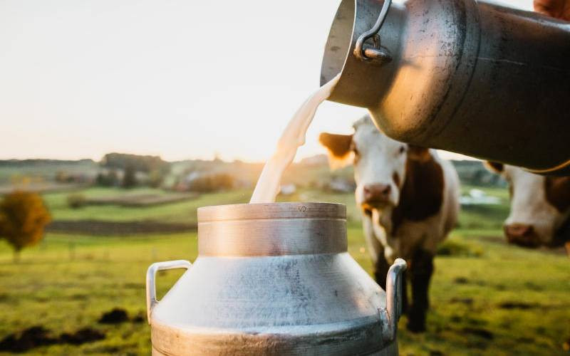 Kenya Dairy Board and livestock researcher in pact to boost national dairy production