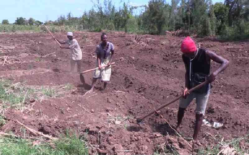 Weatherman advises farmers to give fast maturing crops priority