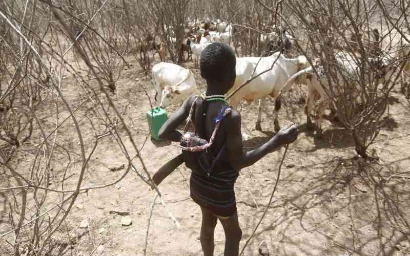 Social behaviour change campaign helping to improve livestock farming in arid areas