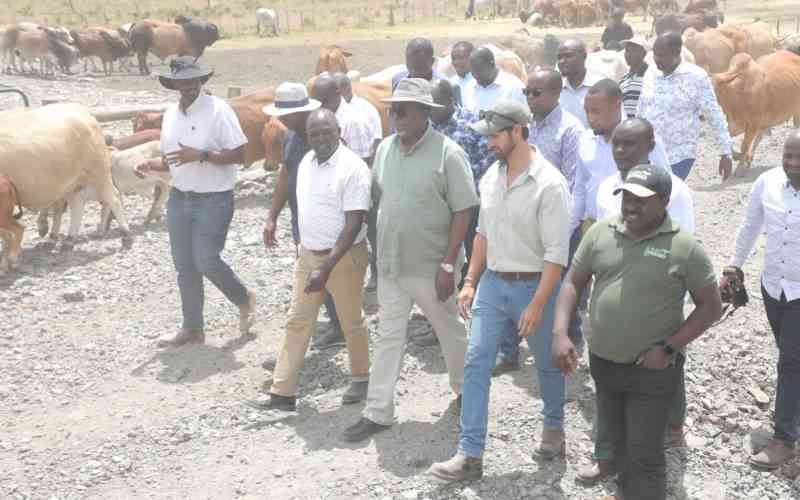 State to revive livestock industry, says CS Linturi
