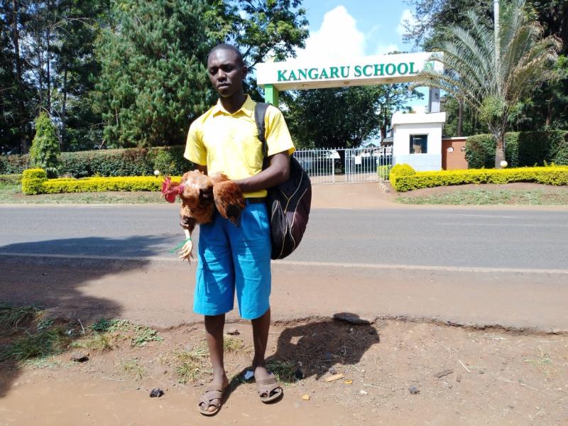 Student shows up with a cockerel for school fees