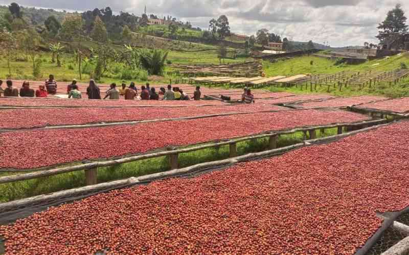 If you've forgotten Rwanda, I have news for you